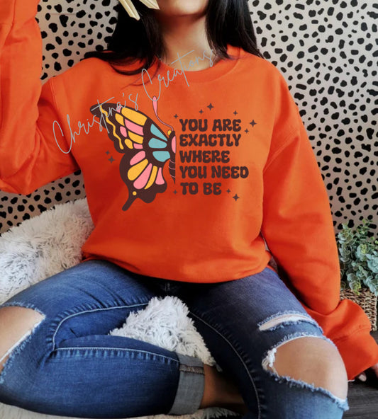 Women’s Butterly Inspiring Sweater