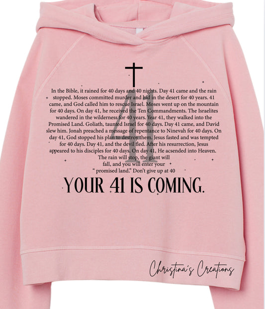 41 Hoodie